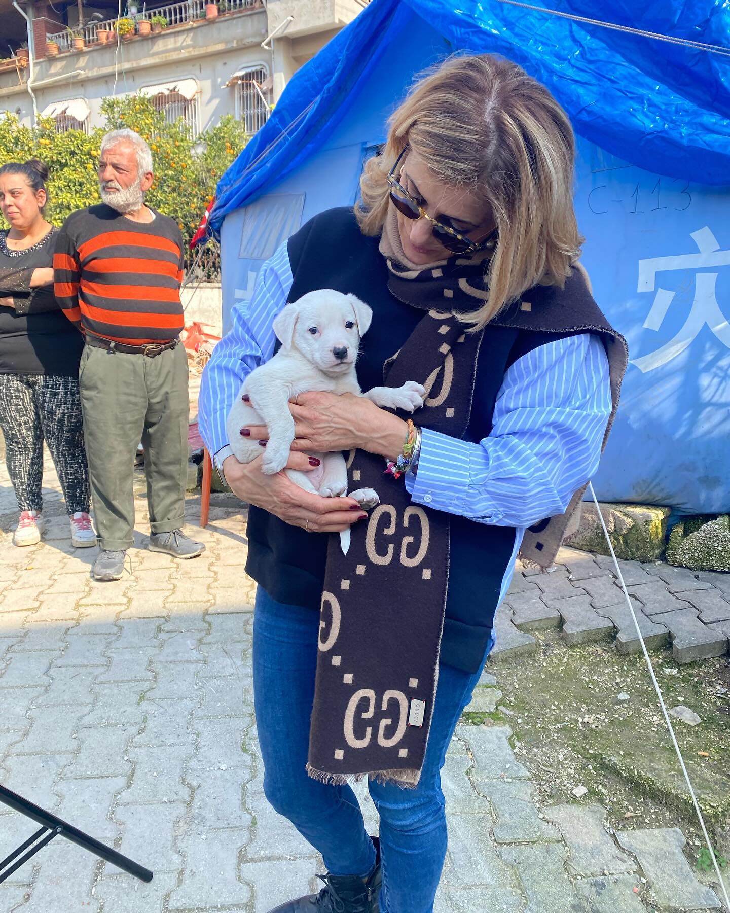 Odin 😍

#hatay #antakya #defne #iskenderun #deprem #yardım #helfen #germany #turkey